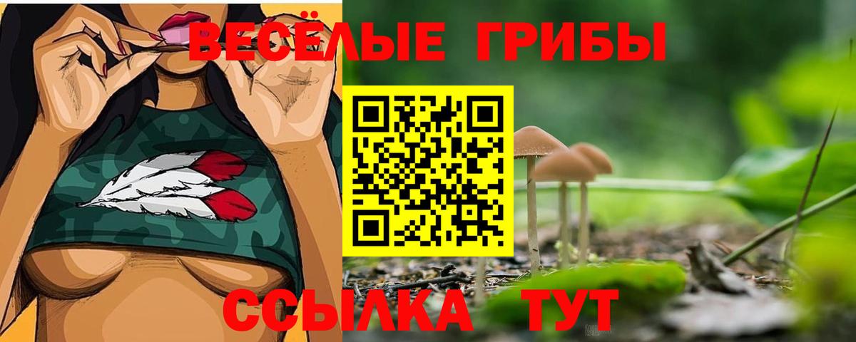 Надым  Псилоцибиновые грибы Magic Shrooms  Вход с VPN 